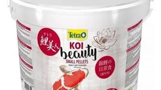 TETRA KOI Beauty Small hrana pentru pestii de talie mica KOI, 10 l