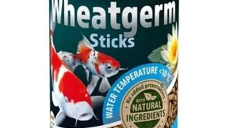 TETRA Pond Sticks, germeni de grau,1 l
