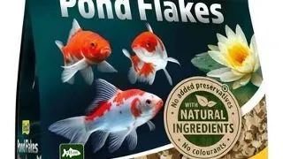 TETRA Pond Flakes 4 L Fulgi de hrana pentru pesti de iaz
