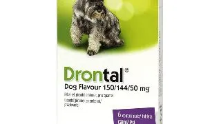 Drontal Dog Flavour, 6 tablete