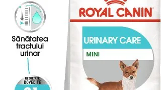 ROYAL CANIN Mini Urinary Care, hrana uscata caini, sanatatea tractului urinar, 1kg