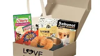 Love in a Box pentru Cainele Tau de Talie Mica, Editie Limitata "Luna Iubirii"
