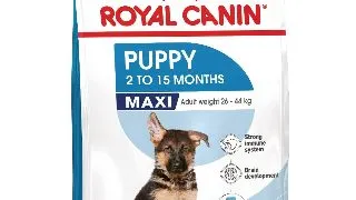 ROYAL CANIN Maxi Puppy, hrana uscata caini junior, 3kg