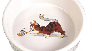Castron Ceramic Pentru Pisici