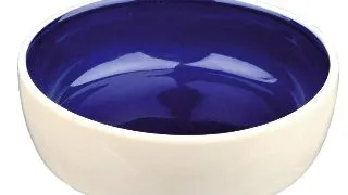 Castron Ceramic Pentru Pisici, 0.3 l /12 cm, Crem/Albastru
