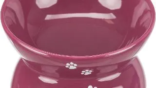 Castron Ceramic Pentru Pisici, Ridicat, Forma Ergonomica, 0.15 l/13cm, Bordo