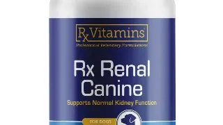 RX VITAMINS Renal Canine, supliment sistem renal caini, capsule RX VITAMINS Renal Canine, supliment sistem renal caini, flacon, 120 capsule