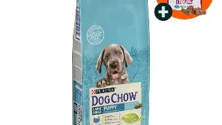 PURINA Dog Chow Puppy L-XL, Curcan, hrana uscata caini junior, 14kg