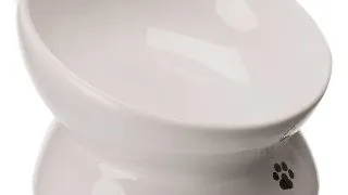 Castron Ceramic, Ridicat, Forma Ergonomica, Alb