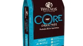 Hrana Uscata Wellness Core, Somon si Ton,10kg