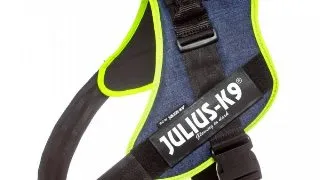 JULIUS-K9 IDC Power Unique Textured, ham caini JULIUS-K9 IDC Power, ham caini, XL, 28-40kg, jeans/neon
