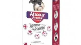 ATAXXA, deparazitare externa caini, pipeta repelenta ATAXXA 250, deparazitare externa caini, pipeta repelenta, S-M(10 - 25kg), 3buc