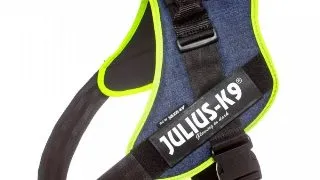JULIUS-K9 IDC Power Unique Textured, ham caini JULIUS-K9 IDC Power, ham caini, 2XS, 2-5kg, jeans/neon