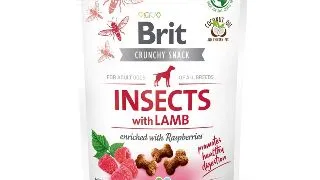 BRIT Care Crunchy Cracker, Insecte si Miel cu Zmeura, recompense fara cereale caini, 200g