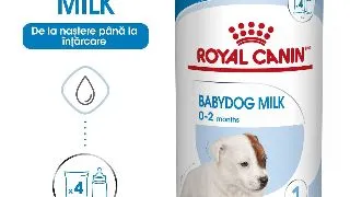 ROYAL CANIN Babydog Milk, inlocuitor lapte matern caini, 400g
