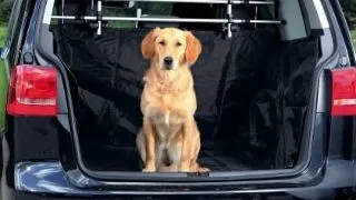 Trixie Husa de Protectie Auto, 230*170 cm