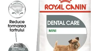 ROYAL CANIN Mini Dental Care Adult, hrana uscata caini, reducerea formarii tartrului, 1kg