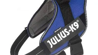 JULIUS-K9 IDC, ham caini, XL, 28-40kg, albastru