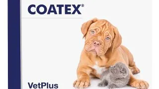 VETPLUS Coatex, supliment piele & blana caini, capsule VETPLUS Coatex, XS-XL, supliment piele & blana caini si pisici, cutie, 60 capsule
