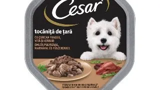 CESAR Tocanita de tara, Curcan, Vita si Ierburi, tavita hrana umeda caini, (in suc propriu), 150g