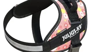 JULIUS-K9 IDC Power Patterned, ham caini JULIUS-K9 IDC Power, ham caini, M, 14-25kg, roz cu flori