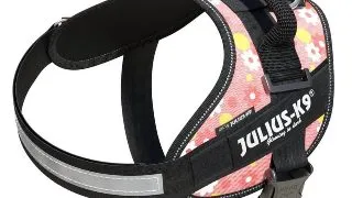 JULIUS-K9 IDC Power Patterned, ham caini JULIUS-K9 IDC Power, ham caini, 3XS, 0,8-3kg, roz cu flori