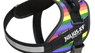 JULIUS-K9 IDC Power Patterned, ham caini JULIUS-K9 IDC Power, ham caini, 2XL, 40-70kg, curcubeu