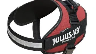 JULIUS-K9 IDC Power Single Colored, ham caini JULIUS-K9 IDC Power, ham caini, 2XL, 40-70kg, bordo