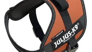 JULIUS-K9 IDC Power Single Colored, ham caini JULIUS-K9 IDC Power, ham caini, XS, 4-7kg, caramiziu