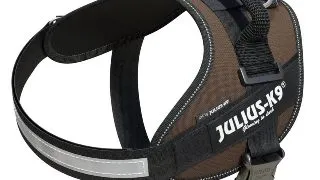JULIUS-K9 IDC Power Single Colored, ham caini JULIUS-K9 IDC Power, ham caini, 3XS, 0,8-3kg, maro ciocolatiu