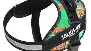 JULIUS-K9 IDC Power Patterned, ham caini JULIUS-K9 IDC Power, ham caini, XS, 4-7kg, reggae
