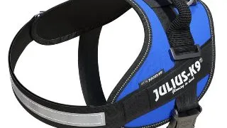 JULIUS-K9 IDC Power Single Colored, ham caini JULIUS-K9 IDC Power, ham caini, 2XS, 2-5kg, albastru