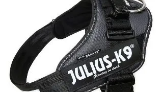 JULIUS-K9 IDC Power Single Colored, ham caini JULIUS-K9 IDC Power, ham caini, XL, 28-40kg, gri