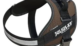 JULIUS-K9 IDC Power Single Colored, ham caini JULIUS-K9 IDC Power, ham caini, 2XS, 2-5kg, maro ciocolatiu