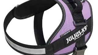 JULIUS-K9 IDC Power Single Colored, ham caini JULIUS-K9 IDC Power, ham caini, S, 7-15kg, mov