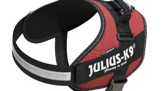 JULIUS-K9 IDC Power Single Colored, ham caini JULIUS-K9 IDC Power, ham caini, M, 14-25kg, bordo