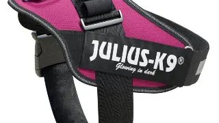 JULIUS-K9 IDC Power Single Colored, ham caini JULIUS-K9 IDC Power, ham caini, L, 23-30kg, roz inchis