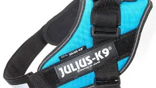 JULIUS-K9 IDC Power Single Colored, ham caini JULIUS-K9 IDC Power, ham caini, XL, 28-40kg, aqua marine