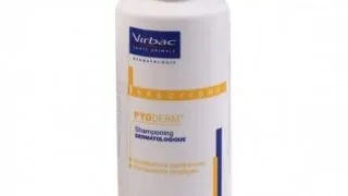 Sampon Antiseptic Pyoderm, 200 ml