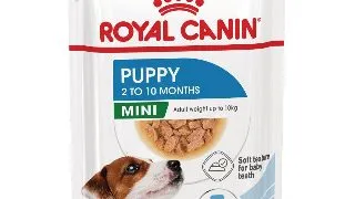 ROYAL CANIN Mini Puppy, hrana umeda caini junior, (in sos), 85g