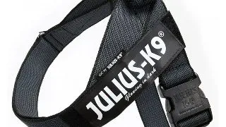 JULIUS-K9 IDC Color & Gray, ham banda caini , M - Negru Negru