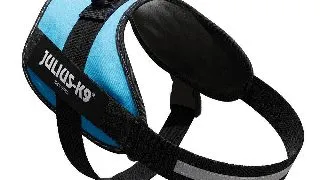 Ham Julius-K9 IDC Power - 2XL Aquamarine