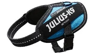 Ham Julius-K9 IDC Power - 2XS Aquamarine