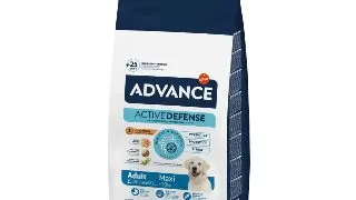 ADVANCE Adult Maxi, L-XL, Pui, hrana uscata caini, 14kg