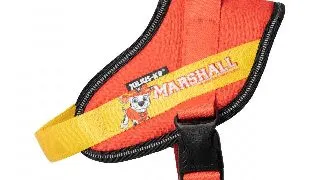 Ham Julius-K9 IDC Power PAW Patrol - S Marshall