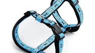 Ham nylon - decor os - S - Albastru