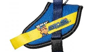 Ham Julius-K9 IDC Power PAW Patrol - XS - Chase