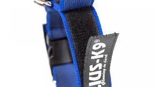 Zgarda Julius-K9, cu maner, nylon - 50mm Albastru