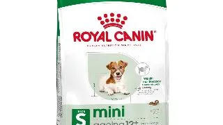 ROYAL CANIN Mini Ageing 12+, hrana uscata caini senior, 1.5kg
