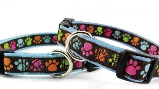 Zgarda nylon - Zampina - S
